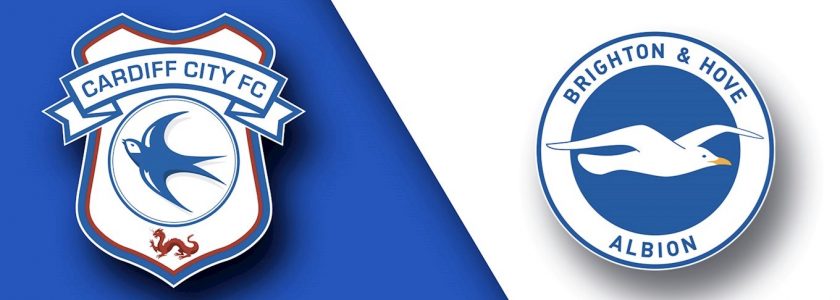 Brighton vs Cardiff City