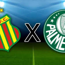 Sampaio Correa vs Palmeiras