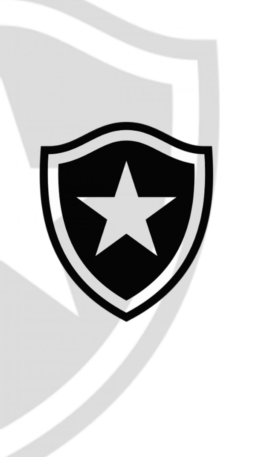 Sol de America vs Botafogo RJ