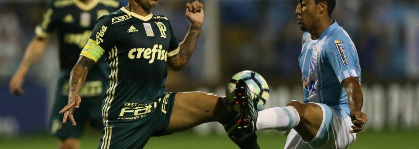 Palmeiras vs Avai FC