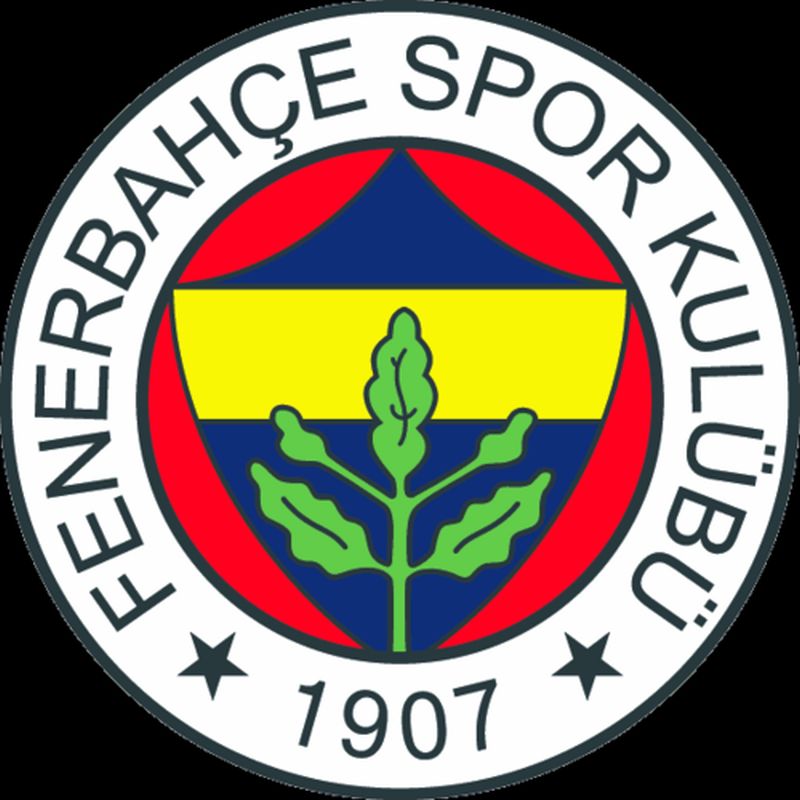 Fenerbahce vs Gaziantep